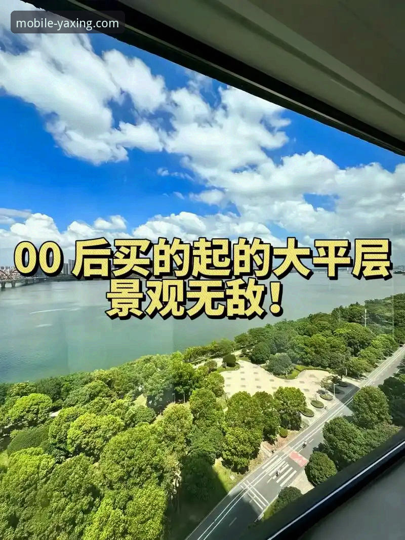 亚星APP精彩世界 亚星体育平台:一站式移动体验深度评测报告