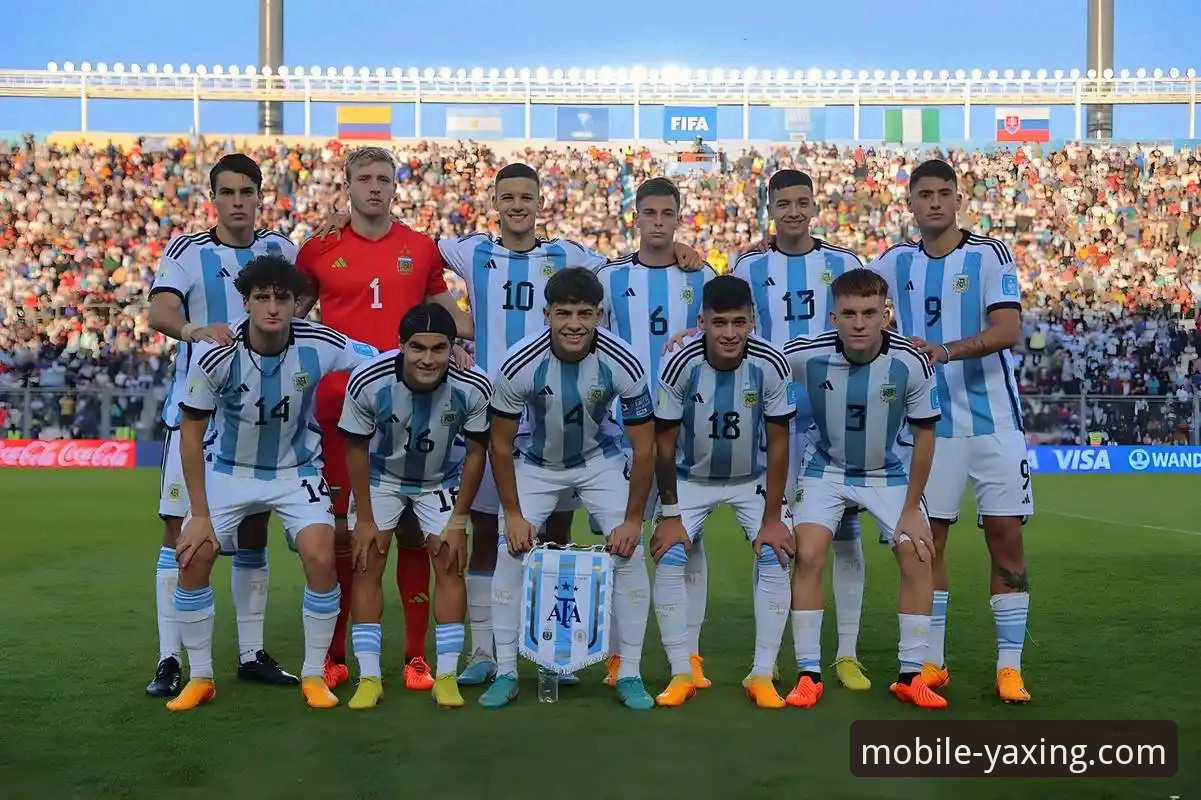 2026亚星APP官方正版 揭秘阿根廷世界杯征程背后的战术缺口与数字体育新体验